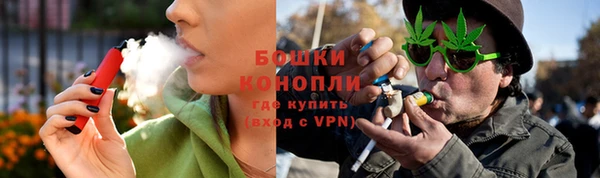 гидра Верхний Тагил