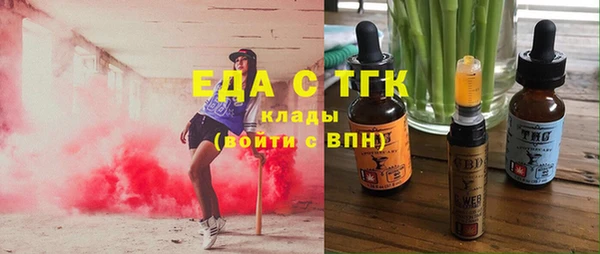 гидра Верхний Тагил
