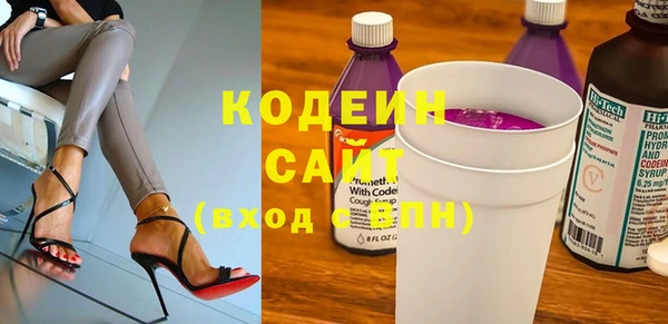 гидра Верхний Тагил
